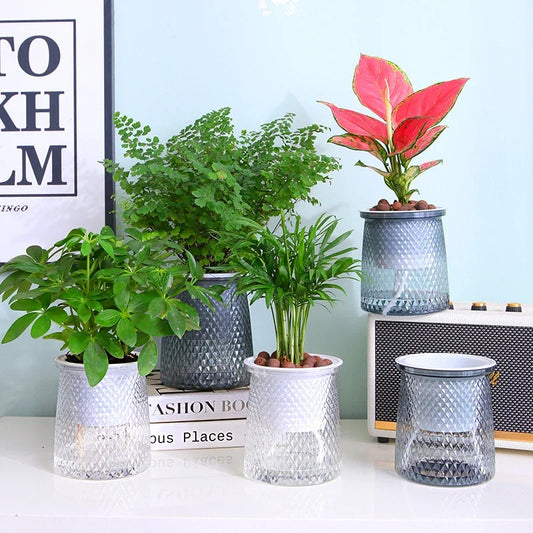 Self Watering Plant Pots